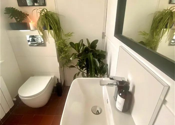 度假居 Dillon School House - Luxury In The Countryside 罗斯康芒